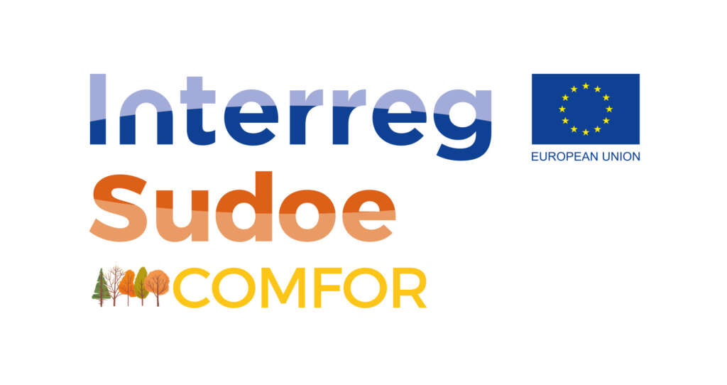 Comfor Sudoe Logo
